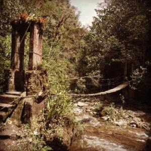 13413611_10104216572636712_5026112976832700783_n