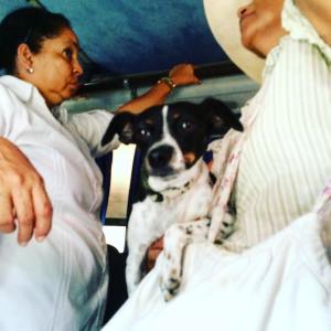 13516728_10104243376267022_7444477955405114614_n