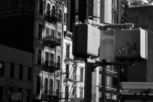 554355_10101188843599972_912760173_n