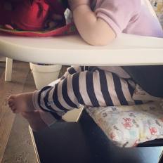 36394047_10106112170403592_5595951510304325632_n